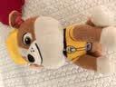 汪汪队立大功（PAW PATROL）毛绒玩具陪睡玩偶经典款小砾小号坐姿公仔男女孩儿童生日礼物 实拍图