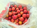 京鲜生 智利进口樱桃李4J级5斤礼盒装 年货礼盒 送礼 新鲜水果 实拍图