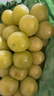 阳光玫瑰葡萄晴王青提香水提子山西新鲜水果一斤也是批发价 带箱5斤大果【单果克重10g-20g】（净重约4.5斤） 实拍图