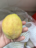 京地达香梨子新疆库尔勒香梨子新鲜水果年货净重8斤单果115g+源头包邮 实拍图