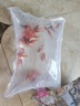 金鱼草金鱼观赏鱼冷水好养耐活小鱼苗锦鲤 2-4cm 红草金买20条送20条（加备损） 实拍图