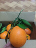 渝奉顺丰正宗重庆奉节脐橙薄皮大果现摘孕妇水果新鲜当季10斤20甜橙子 【中大果75-80】纽荷尔/推荐款 带箱子10斤 实拍图