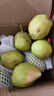 京鲜生 新疆特级库尔勒香梨 净重5斤单果120g以上 生鲜水果 实拍图