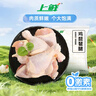 上鲜 鸡琵琶腿 净重6斤 冷冻年货节 炸鸡腿卤鸡腿烤鸡腿 清真食品 实拍图