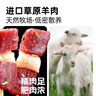 大希地安格斯牛肉串240g*3袋+羊肉串240g*2袋 腌制入味烧烤露营食材 实拍图