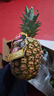 佳农 黑钻菠萝1粒装 菲律宾凤梨 净重2斤起 生鲜水果 源头直发 包邮 实拍图