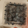 怡颗莓Driscoll's云南蓝莓14mm+ 4盒装 约125g/盒 新鲜年货水果 实拍图