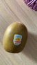 佳沛（zespri）意大利  阳光金奇异果10粒礼盒巨大果单果约144-175g 年货礼盒 实拍图