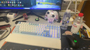 前行者ES98无线客制化机械键盘有线蓝牙三模双8K回报率电竞Gasket结构99键热插拔笔记本电脑游戏通用外设 冰蓝银韵极地狐轴-贯穿式灯带-双8K-1.2万毫安 实拍图