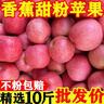 正宗粉面苹果新鲜应季水果老树秦冠红星老人宝宝粉面刮泥香蕉苹果 净重8.5斤【特大】 实拍图