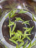 醉茗山2026新茶明前龙井500克 早春茶礼盒装杭州散装鲜芽嫩芽绿茶浓香型 实拍图