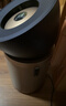 戴森（DYSON）PH05空气加湿净化风扇 兼空气净化器 过滤病毒 无雾加湿 除甲醛除PM2.5 宠护认证 白金色 实拍图