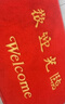 柏能欢迎光临地垫入户门红地毯丝圈脚垫进户门口迎宾地垫120*180cm1.6 实拍图