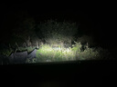 魔灯狮（Mondsie）适用本田飞度汽车led大灯近光远光远近一体无损改安装led车灯泡 实拍图