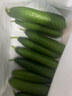 京鲜生 山东荷兰水果黄瓜 净4.5斤 单果70g+ 健康轻食早餐蔬菜 源头直发 实拍图