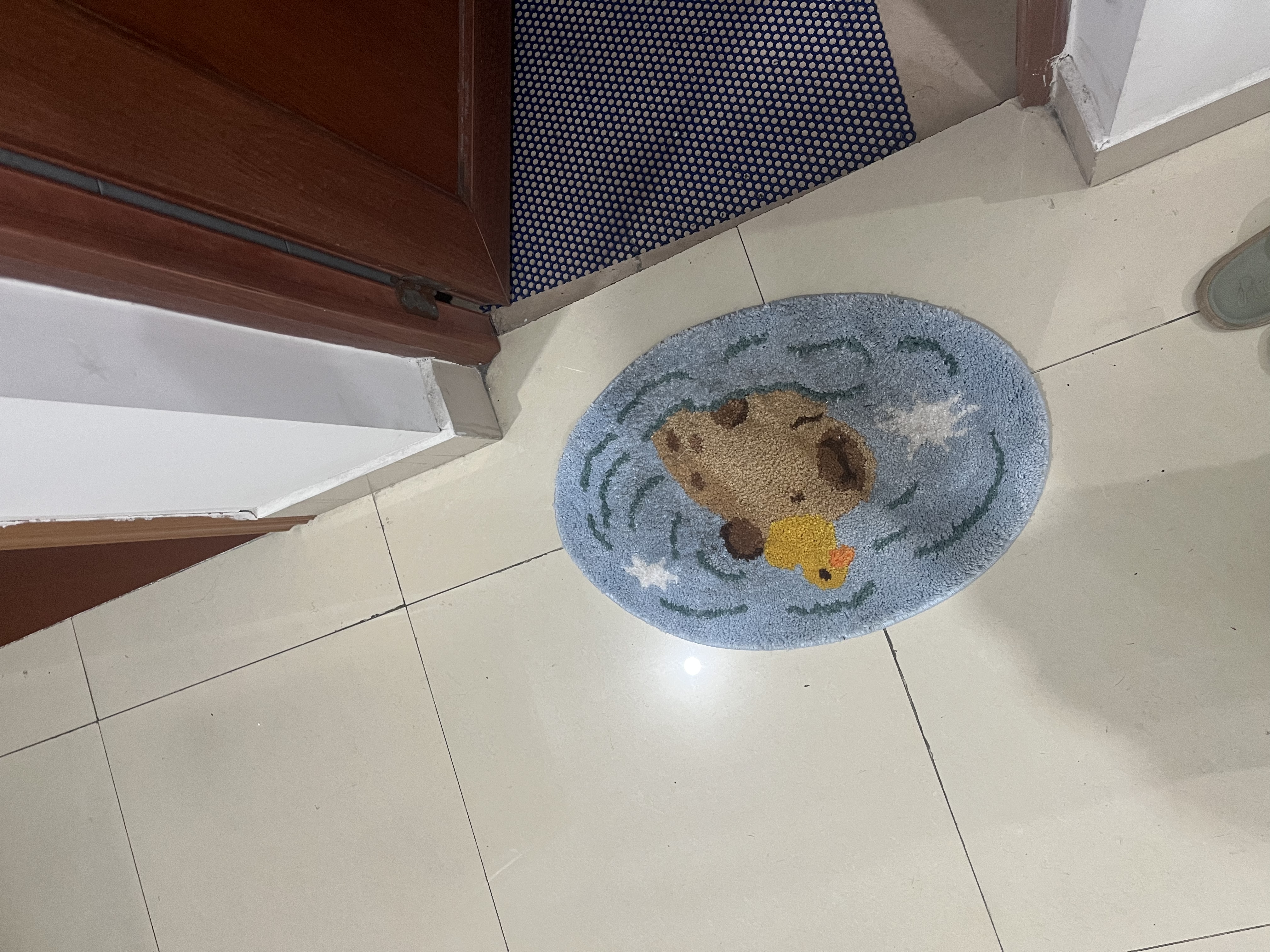 闪垫防滑脚垫小地毯浴室门口吸水地垫厕所进门毛绒地毯淋浴间可爱垫子 实拍图