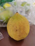 广东香水黄柠檬包邮新鲜水果柠檬精选皮薄奶茶店专用整箱 现货 柠檬带箱2斤单果70g+约10-18个 实拍图