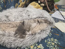 派乐特猫窝冬天保暖贝壳窝猫咪封闭式安全感屋毛绒狗窝宠物垫子猫床M 实拍图