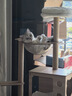 珑小宠猫爬架猫窝加粗大型猫树一体太空舱猫架子小户型不占地麻绳猫玩具 127cm 4层 【太空舱木屋款】 晒单实拍图