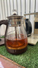金灶（KAMJOVE）煮茶器 喷淋式蒸汽煮茶养生壶 玻璃养生花茶壶 电热水壶煮茶壶泡茶烧水壶 A-53棕色/0.8L 实拍图