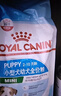 皇家狗粮 幼犬狗粮 幼犬奶糕宠物小型犬MIJ31全价犬粮2-10月800g 实拍图