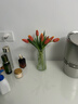 吕姆克花瓶玻璃花瓶摆件工艺品插花仿真干花富贵竹水养花瓶中号透明5043 实拍图