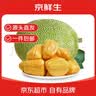京鲜生越南进口菠萝蜜一整个净重12-14斤新鲜水果源头直发一件包邮 实拍图