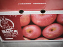 京鲜生 栖霞红富士苹果 净重6.4斤 单果230g+ 春节也送货 实拍图