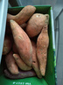 京鲜生山东烟薯25号蜜薯 净重3斤 小果50+ 糖心地瓜烤红薯蔬菜 源头直发 实拍图