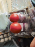 番茄约500g 实拍图