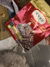 弗列加特猫粮 全价鲜肉天然粮 肠道养护配方 幼猫猫粮鸡肉2kg【宠物金选】 实拍图