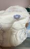 名典泰迪纸尿裤XL码50片【11.5-14kg】婴儿尿不湿超薄透气干爽尿裤 实拍图