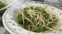 京严智造家用豆芽机三层大容量自动洒水增压培育机发豆芽神器多功能绿豆黄豆芽苗发芽机泡豆生芽 【四季可用+三层大容量+遮光罩】绿色 实拍图