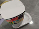 霍曼（Homerun）宠物智能自动喂食器猫粮定时猫咪自动投食机陶瓷单碗增高版PF20 实拍图