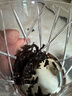 武夷山大红袍幔亭峰乌龙茶玉桂韵武夷岩茶半岩肉桂一级150g中火罐装茶叶 实拍图