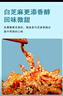万达香辣鳗鱼丝500g即食海鲜肉类蜜汁香辣小鱼干罐装海味小吃休闲零食 实拍图
