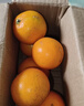 湖南芷江冰糖橙新鲜甜爆汁冰糖柑当季水果产地直发树上熟50-60mm 麻阳冰糖橙 带箱橙2斤装50-60mm 实拍图