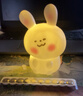 卡通小夜灯房间可爱少女心氛围灯生日礼物送女孩子儿童发光小玩具 腮红兔/小号 配3颗电池 实拍图
