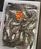 GUO LIAN国联 黑虎虾超大规格斑节虾无冰净重2斤 16-20只高虾青素年货送礼 实拍图