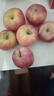 京喜加正宗红富士丑苹果脆爽多汁应季红富士苹果新鲜苹果多仓混发 整箱2斤A+级中果【果径70-75】 实拍图