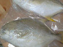 翔泰海南深海金鲳鱼700g 2条 火锅 年货节生鲜鱼类 BAP认证 海鲜水产  实拍图