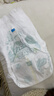 帮宝适超薄透气清新帮拉拉裤新生儿婴儿尿不湿尿片透氧Pro XL34 实拍图