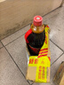 厨邦酱油 金品系列 生抽 酱油【特级黄豆酱油】1.25L 酿造酱油 调味品 实拍图