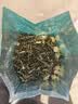 五云村茉莉花茶特级绿茶茶叶2026新茶浓香500g横县飘雪自己喝 实拍图