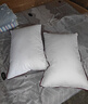 水星家纺枕头枕芯酒店枕头护颈枕头芯家用一对纯棉抗菌可水洗中枕48x74cm 实拍图