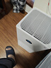 米家小米空气净化器4lite 除甲醛除菌除异味 空气伴侣 除PM2.5 AC-M17-SC 实拍图