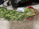 带根香菜100g 实拍图