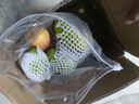 集南鲜 越南青玉芒果 芒果当季大青皮黄皮大芒果新鲜水果整箱 含箱10斤 单果250g起  净重9斤 实拍图