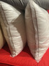 恒源祥纯棉抱枕芯 万能方形沙发靠垫内胆 45 50 55枕头芯酒店单只一对装 一对装-立体边 50cm*50cm 含枕芯 实拍图