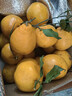 京觅四川春见耙耙柑粑粑柑水果彩箱净重4.5斤单果180g+源头直发包邮 实拍图